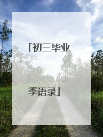 初三毕业季语录