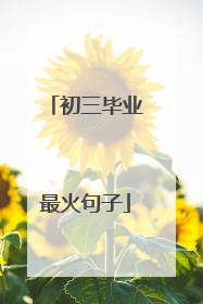 初三毕业最火句子