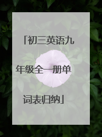 初三英语九年级全一册单词表归纳