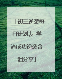 初三逆袭每日计划表 学渣成功逆袭含泪分享