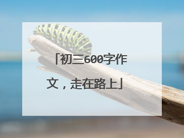 初三600字作文,走在路上