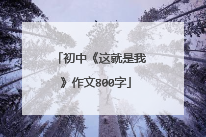 初中《这就是我》作文800字
