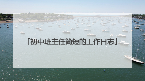 初中班主任简短的工作日志