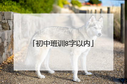 初中班训8字以内
