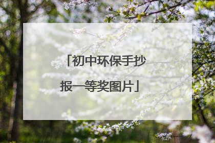 初中环保手抄报一等奖图片