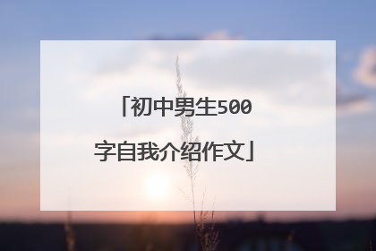 初中男生500字自我介绍作文