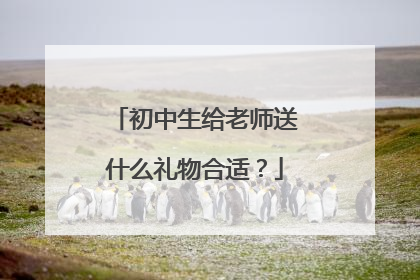 初中生给老师送什么礼物合适?