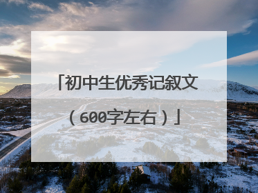 初中生优秀记叙文(600字左右)