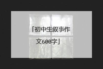 初中生叙事作文600字