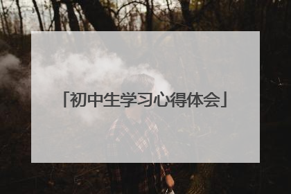 初中生学习心得体会
