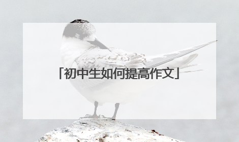 初中生如何提高作文