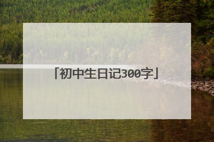 初中生日记300字