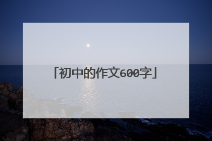 初中的作文600字