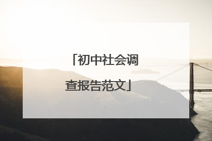 初中社会调查报告范文