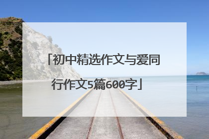 初中精选作文与爱同行作文5篇600字