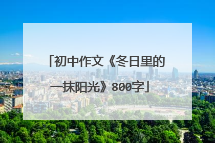 初中作文《冬日里的一抹阳光》800字