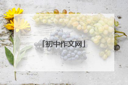 初中作文网