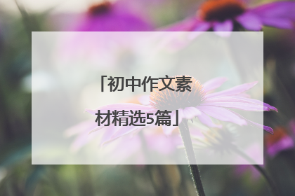 初中作文素材精选5篇