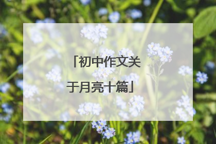 初中作文关于月亮十篇