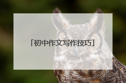初中作文写作技巧