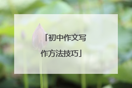 初中作文写作方法技巧