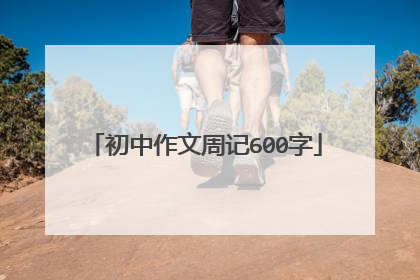 初中作文周记600字
