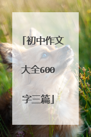 初中作文大全600字三篇