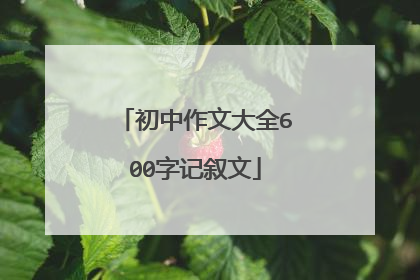 初中作文大全600字记叙文