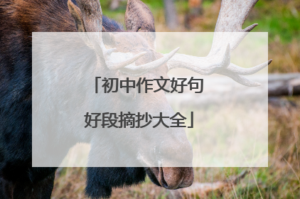 初中作文好句好段摘抄大全
