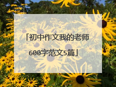 初中作文我的老师600字范文5篇