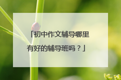 初中作文辅导哪里有好的辅导班吗？