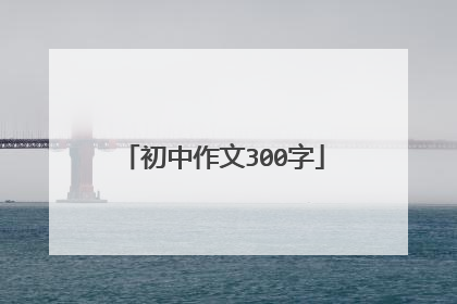 初中作文300字