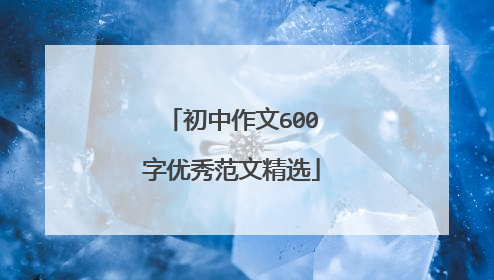 初中作文600字优秀范文精选