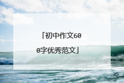初中作文600字优秀范文