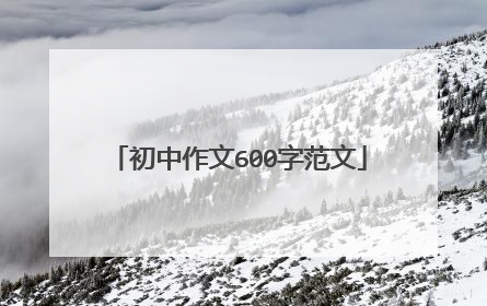 初中作文600字范文