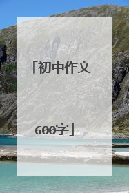 初中作文600字