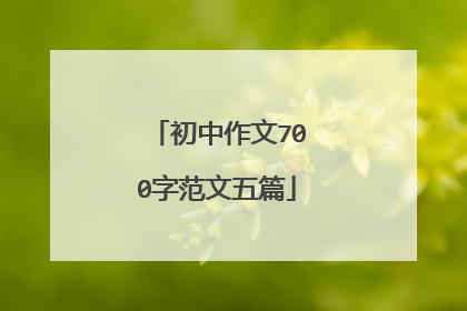 初中作文700字范文五篇