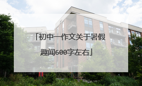 初中一作文关于暑假趣闻600字左右