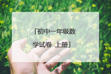 初中一年级数学试卷 上册