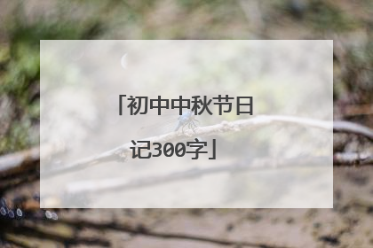 初中中秋节日记300字
