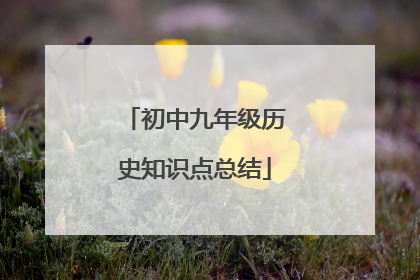 初中九年级历史知识点总结