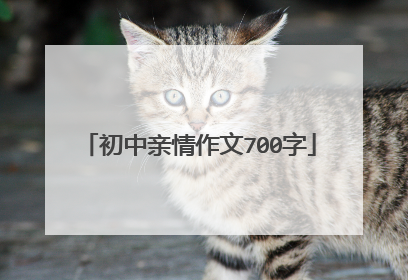 初中亲情作文700字