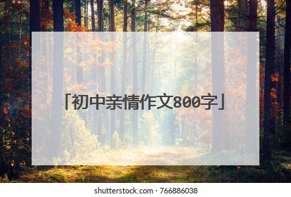 初中亲情作文800字