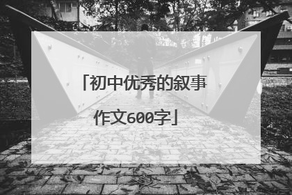 初中优秀的叙事作文600字