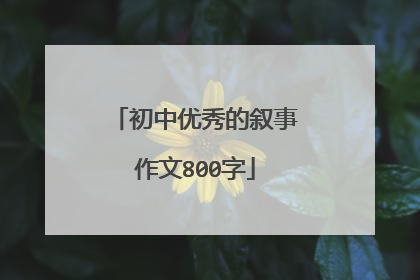 初中优秀的叙事作文800字