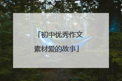 初中优秀作文素材爱的故事