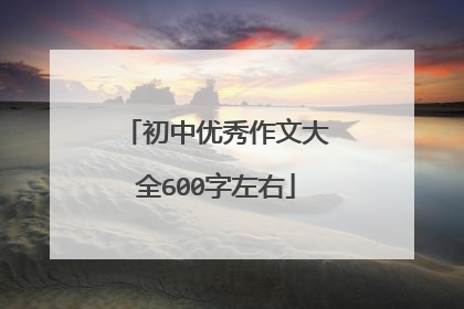 初中优秀作文大全600字左右