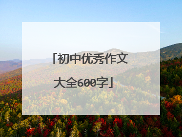 初中优秀作文大全600字