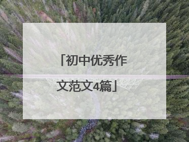 初中优秀作文范文4篇
