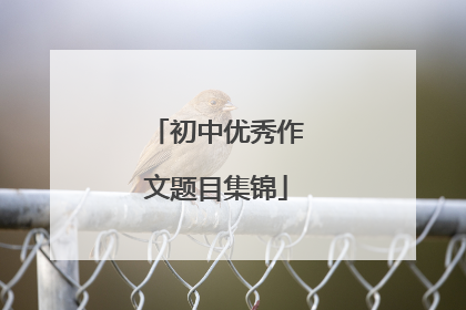 初中优秀作文题目集锦